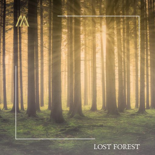 Andrea Accorsi - Lost Forest