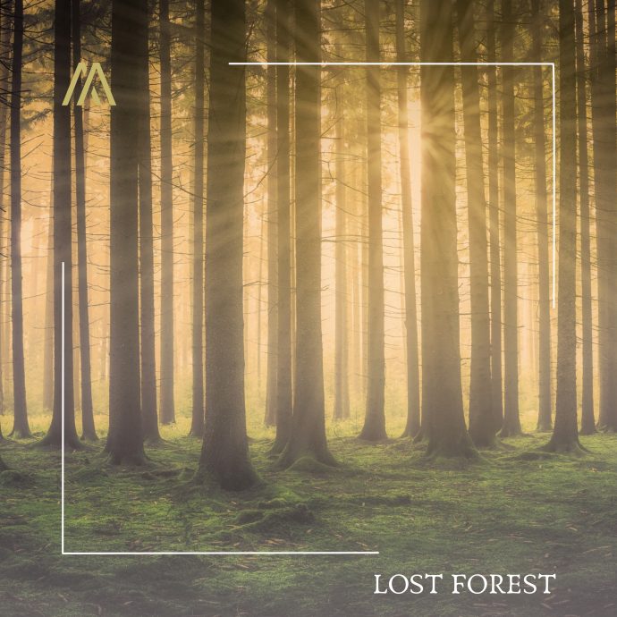 Andrea Accorsi - Lost Forest