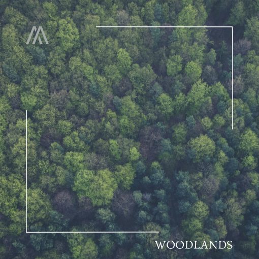 Andrea Accorsi - Woodlands