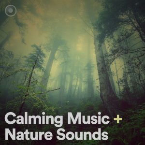 Calming Music + Nature Sounds