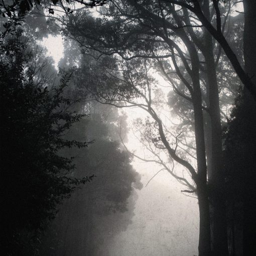 Domy Castellano - Images, Vol. 6