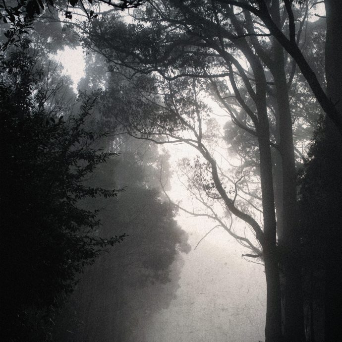 Domy Castellano - Images, Vol. 6