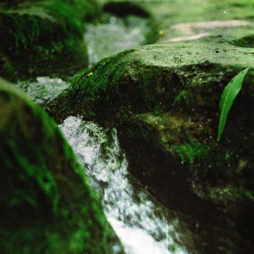 Domy Castellano - Little Suite, Vol. 2