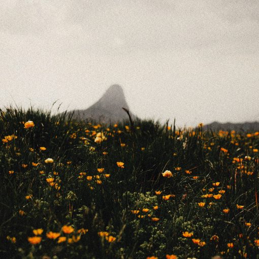 Domy Castellano - On the Mountain