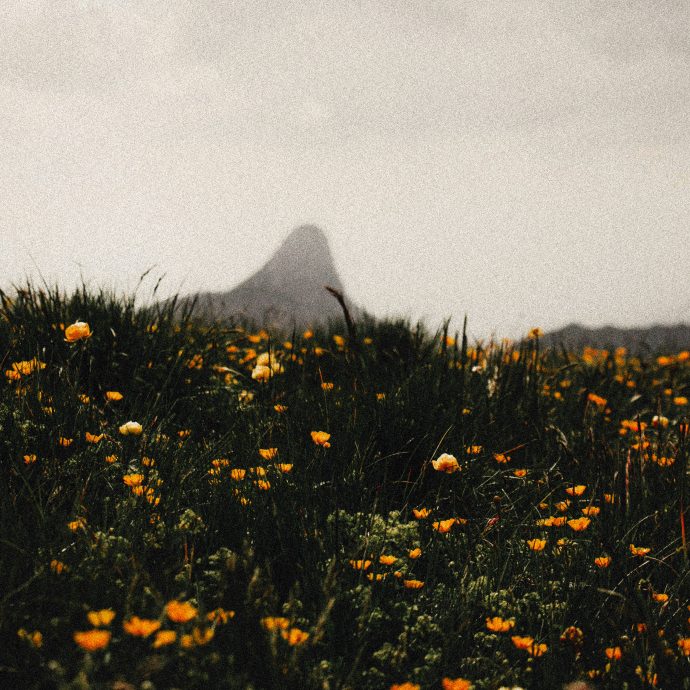 Domy Castellano - On the Mountain