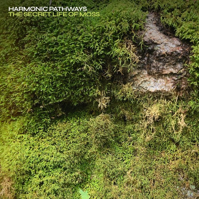 Harmonic Pathways - The Secret Life of Moss