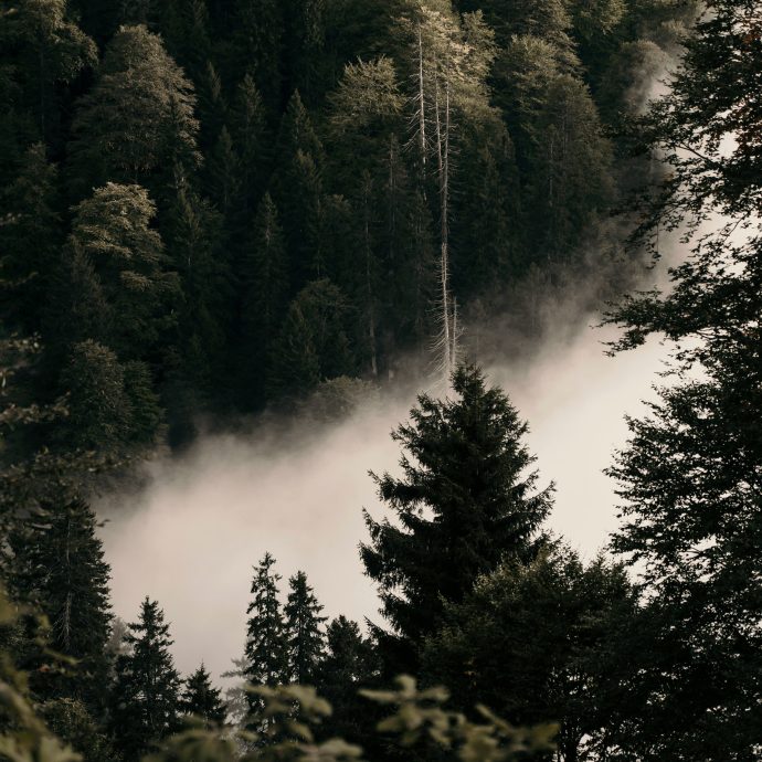 Human Is Alive – Being