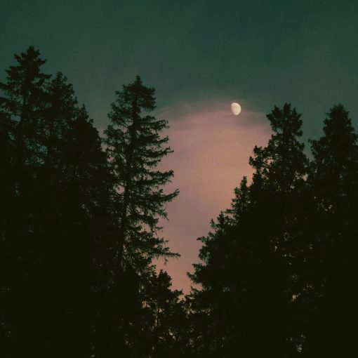 Human Is Alive – Never Ending