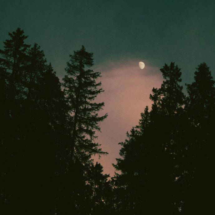 Human Is Alive – Never Ending