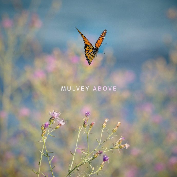 MULVEY - Above
