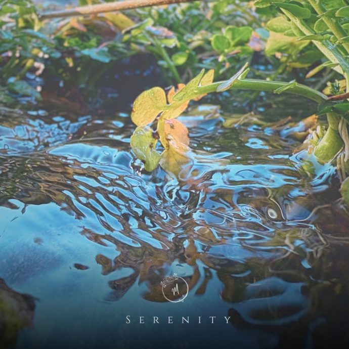 Miaquirele - Serenity