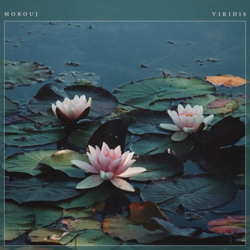 Morouj - Viridis