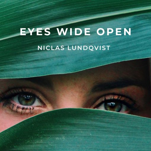 Niclas Lundqvist - Eyes Wide Open