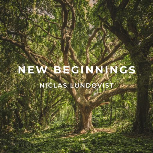 Niclas Lundqvist - New Beginnings