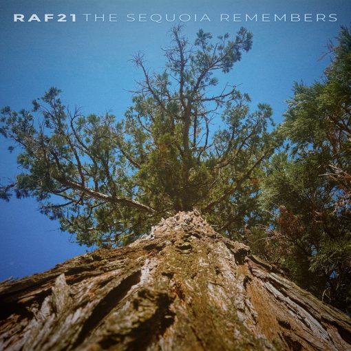 Raf21 - The Sequoia Remembers