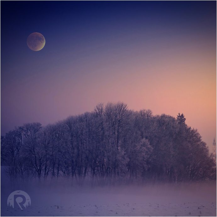 Retland - Dreaming in the Wild