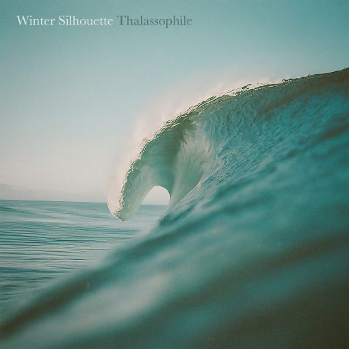 Winter Silhouette - Thalassophile