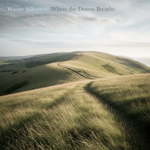 Winter Silhouette - Where the Downs Breathe